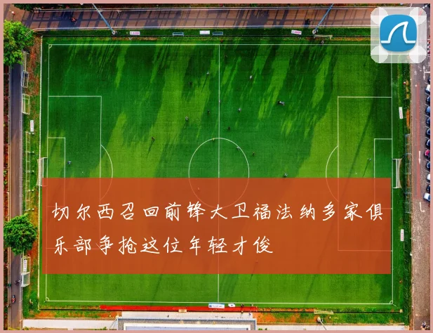 切尔西召回前锋大卫福法纳多家俱乐部争抢这位年轻才俊