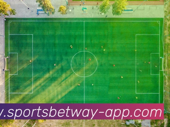 必威体育APP 封面图